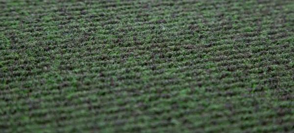 Using Coir Matting to Improve Entrance Maintenance