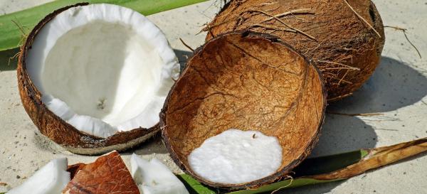 10 Facts You Didn’t Know About Coir