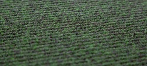 Using Coir Matting to Improve Entrance Maintenance