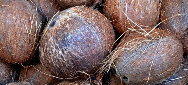 A Simple Guide to Coconut Matting