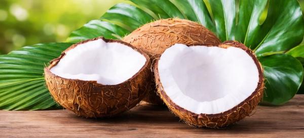 Coconut Mats and the Circular Economy