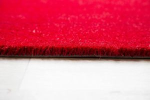 red coir door mat
